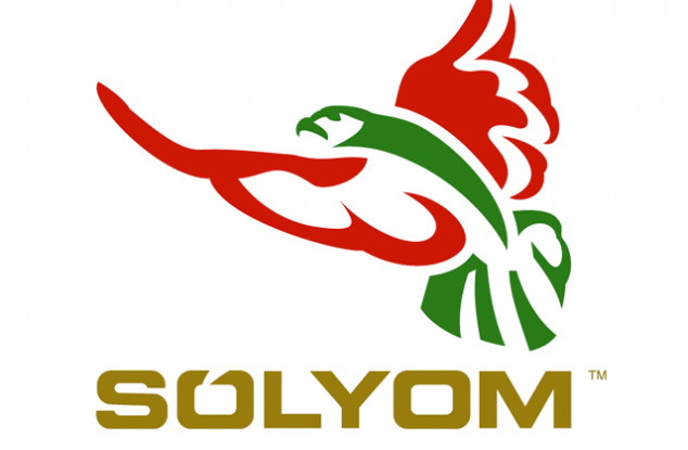 Solyom航空空公司LOGO
